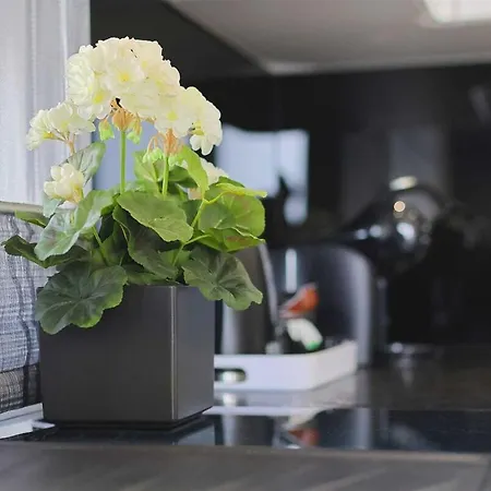 I Penthouse 1 Mit Whirlpool&dachterrasse
